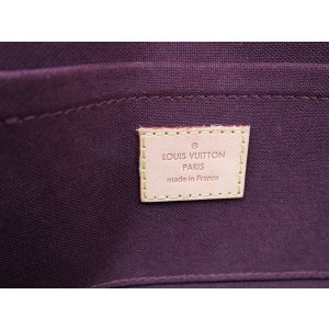 Louis Vuitton Favorite MM Monogram Canvas Handbags Louis Vuitton 38