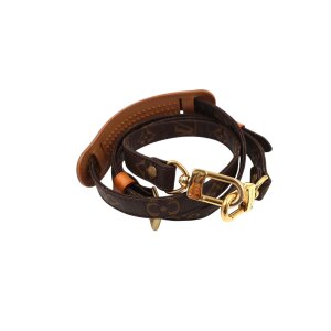 Louis Vuitton Monogram Canvas Schulterriemen Louis Vuitton Louis Vuitton 11