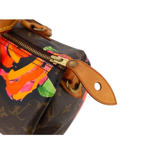 Louis Vuitton Speedy 30 Stephen Sprouse Roses Carrier bags Louis Vuitton 19